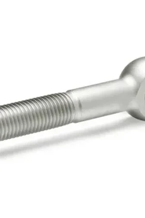 J.W. Winco DIN 444 Swing Bolts, Stainless Steel, Matte, M12, 2-15/16"L, 1/2" I.D., 1" O.D. Final Sale