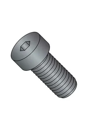 Flash Sale M10 x 1.5 x 30mm Low Socket Cap Screw - Steel - Black Oxide - DIN 125B - Class 8.8 - Pkg of 50