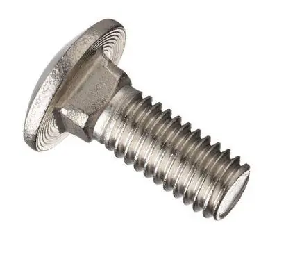 Don't Miss Out 1/2-13 X 14" Carriage Bolts 316 Stainless Steel (10 / Pkg.)
