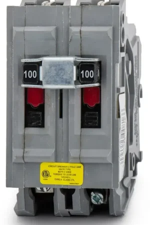 Exclusive Offer Wadsworth A2100NI - 100A 2 Pole Miniature Circuit Breaker