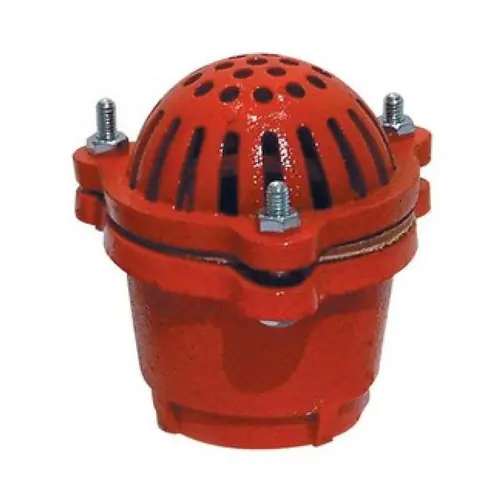 Buchanan Rubber FV-300-DP Foot Valve, 3 in Nominal, FPT End, Steel Body Best Price