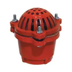 Buchanan Rubber FV-800-DP Foot Valve, 8 in Nominal, FPT End, Steel Body Last Chance