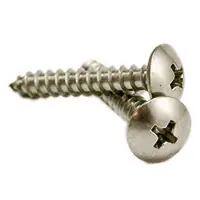 New Release 10 x 1" Self-Tapping Screws, Phillips Truss Head, Type A, 316 Stainless Steel, Full Thread, Qty 500