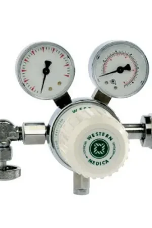 Western Enterprises MSH450346 Sh Air Regulator Cga346450Psi Grab Now