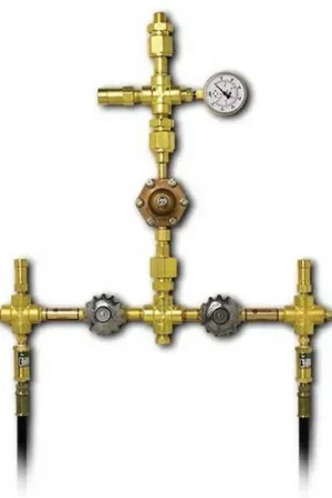 Western Enterprises DLA-5 Dual Line Reg Assy Grab Now