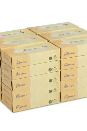 Clearance Georgia Pacific GPC48100 (30/Cs) Facial Flat Preference 2 Ply (1 CA)