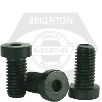 Clearance 6-32 x 3/4" Low Head Socket Cap Screws, Thermal Black Oxide, Coarse (UNC), Alloy Steel, Qty 100
