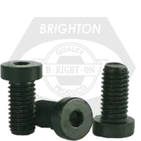 M8-1.25 x 60 mm Low Head Socket Cap Screws, Metric Class 10.9, Thermal Black Oxide, Partial Thread, Coarse (UNC), DIN 7984, Qty 100 High Quality
