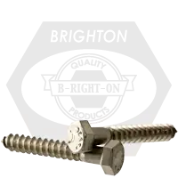 1/2"-6 x 11" Hex Lag Screws, 18-8 Stainless Steel A2, Qty 10 Don't Miss Out