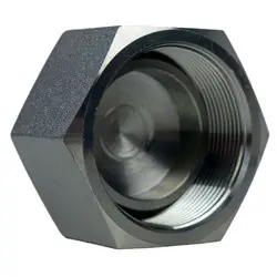 Last Chance Midland Metal 9644-C-04 BSPP Cap, 1/4-in Female BSPP Swivel, Steel