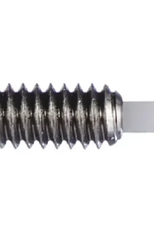 Budget VLIER SMDL54 1/4"-20 Thread Size, 0.531" Thread Length, 0.188" Projection, Stainless Steel Body, Delrin Nose Threaded Spring Plunger
