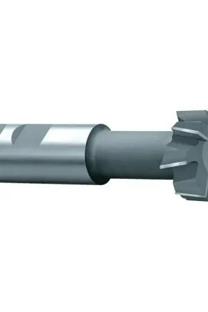 WHITNEY TOOL 10284 2-21/32" Cutter Dia., 1-11/32" Wide, High Speed Steel T-Slot Cutter Final Sale