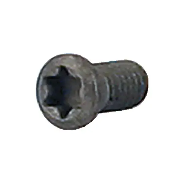 T&O - TX25C, Torx® Screw, TX25C Same Day Shipping