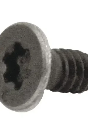 Limited Time EVEREDE - 19507, Torx® Screw, 50215