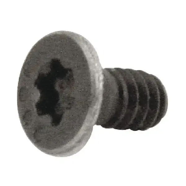 Limited Time EVEREDE - 19507, Torx® Screw, 50215