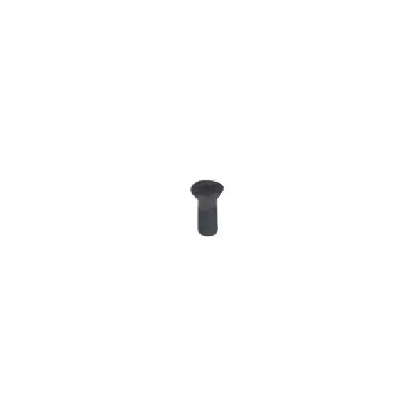 EVEREDE - NS-22044, Torx® Screw, NS-22044 Time-Limited