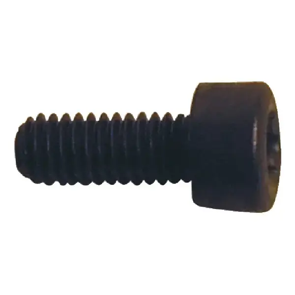 Next Day Delivery WALTER - PT1213T, Torx® Screw, 62399